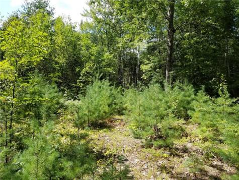 18 Acorn Drive Hampden ME 04444