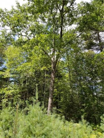 18 Acorn Drive Hampden ME 04444