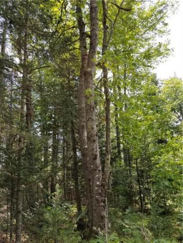 18 Acorn Drive Hampden ME 04444