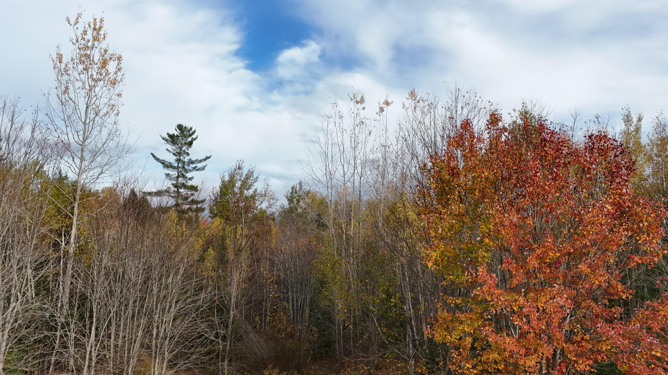 00 Babcock Road Newburgh ME 04444