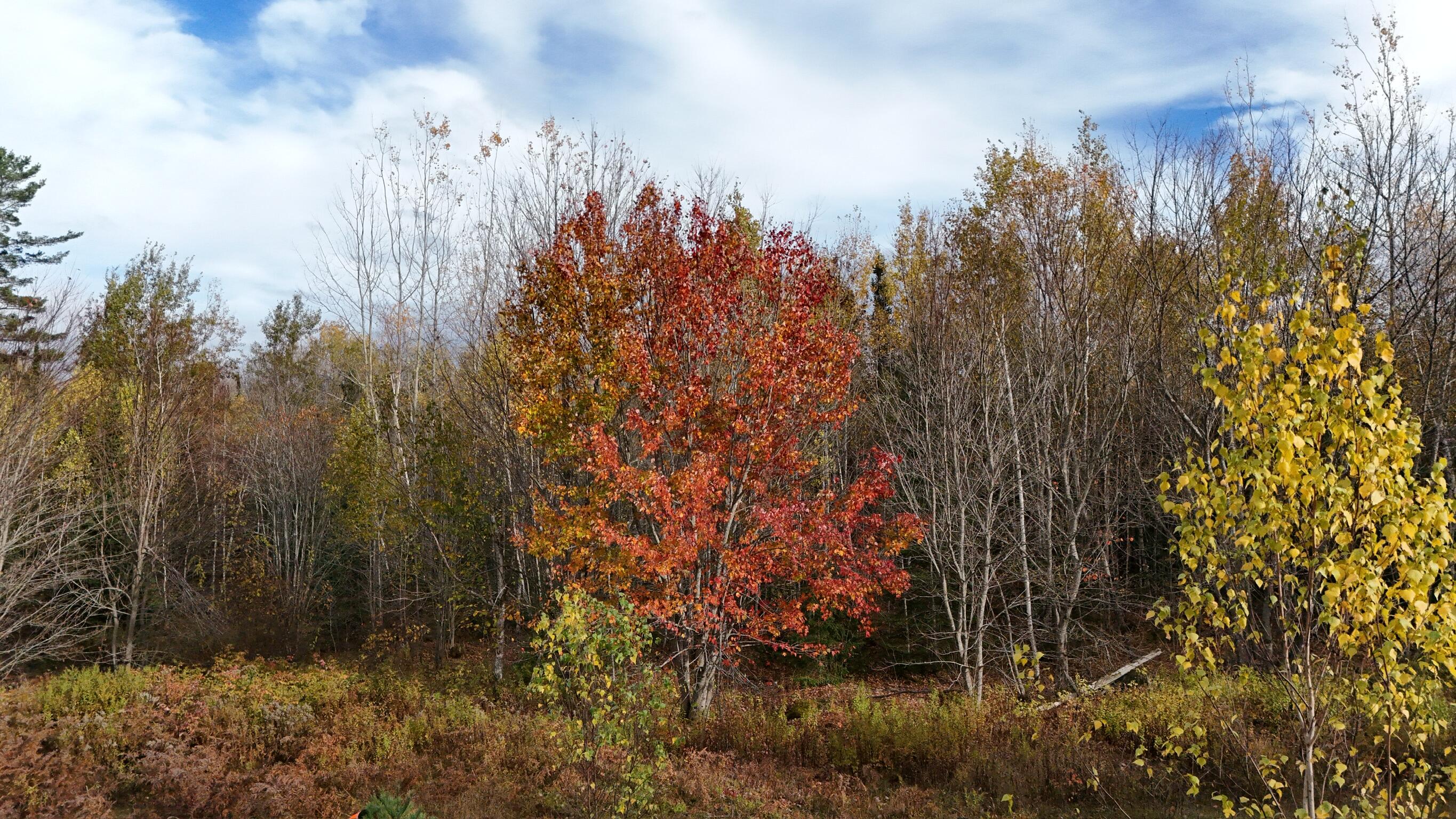 00 Babcock Road Newburgh ME 04444