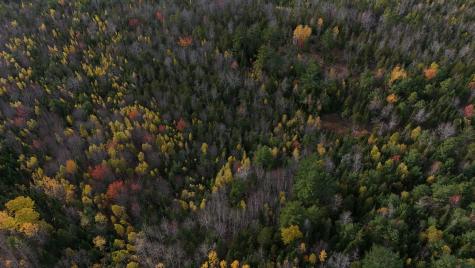 00 Babcock Road Newburgh ME 04444