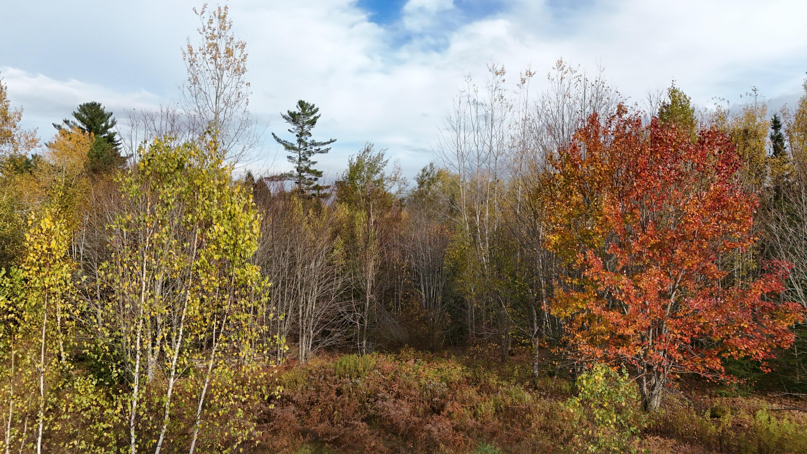 00 Babcock Road Newburgh ME 04444
