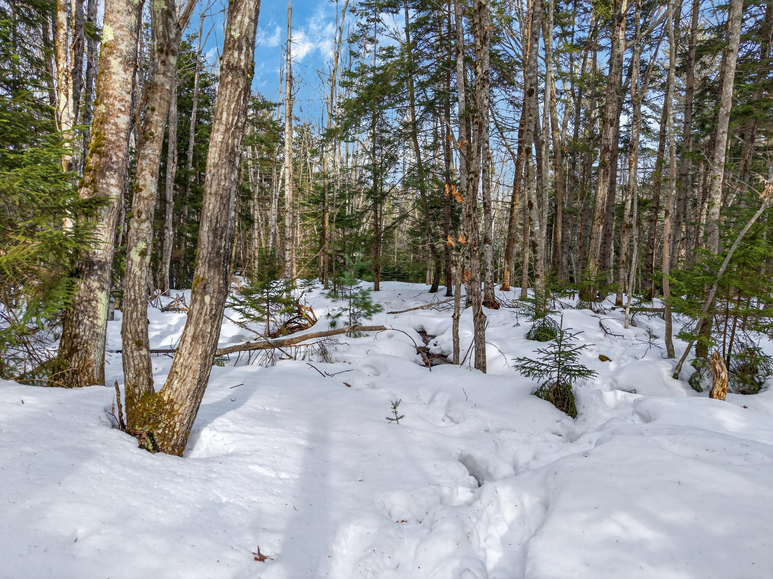 0 Sebasco Road Phippsburg ME 04562