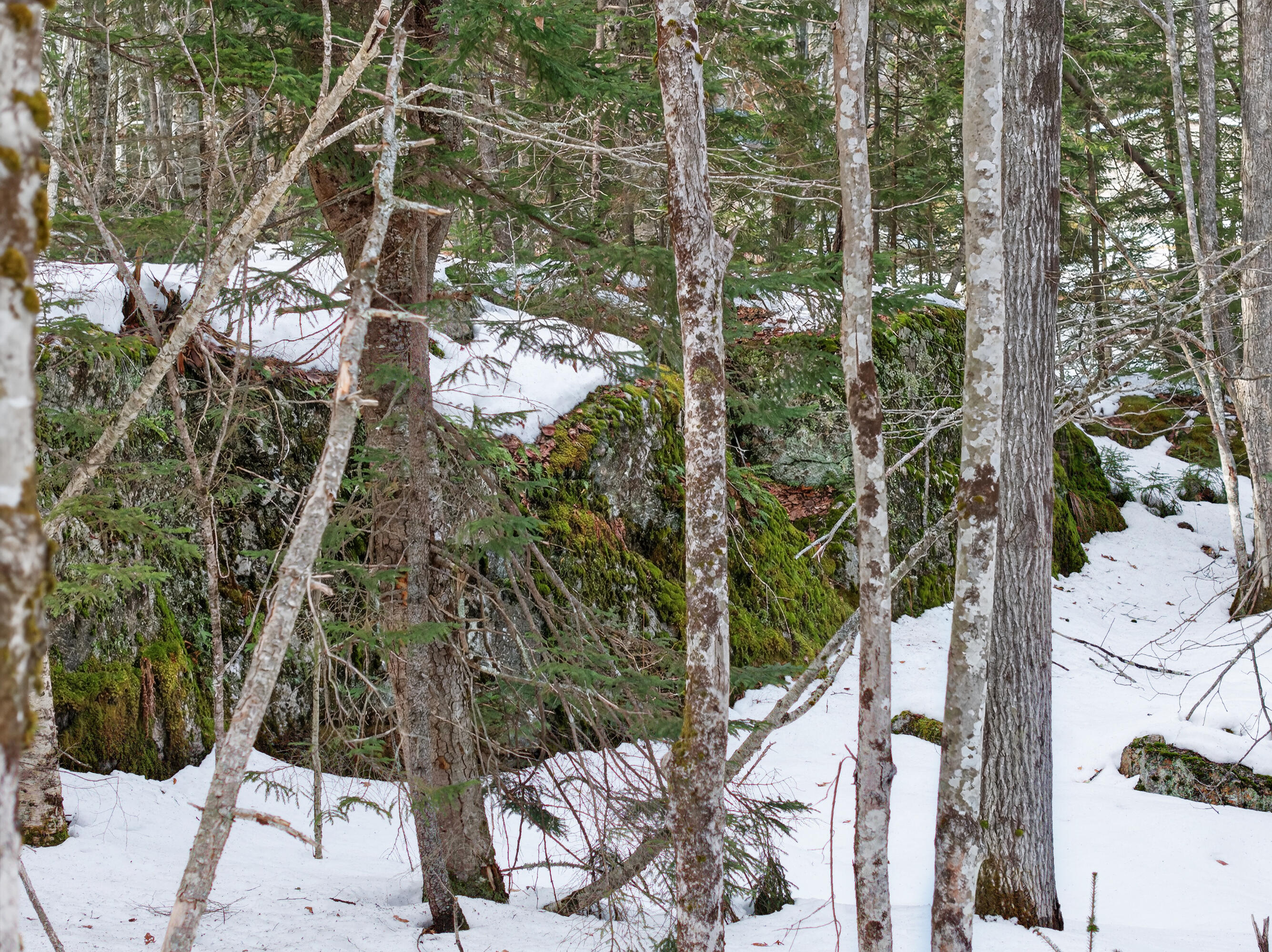 0 Sebasco Road Phippsburg ME 04562