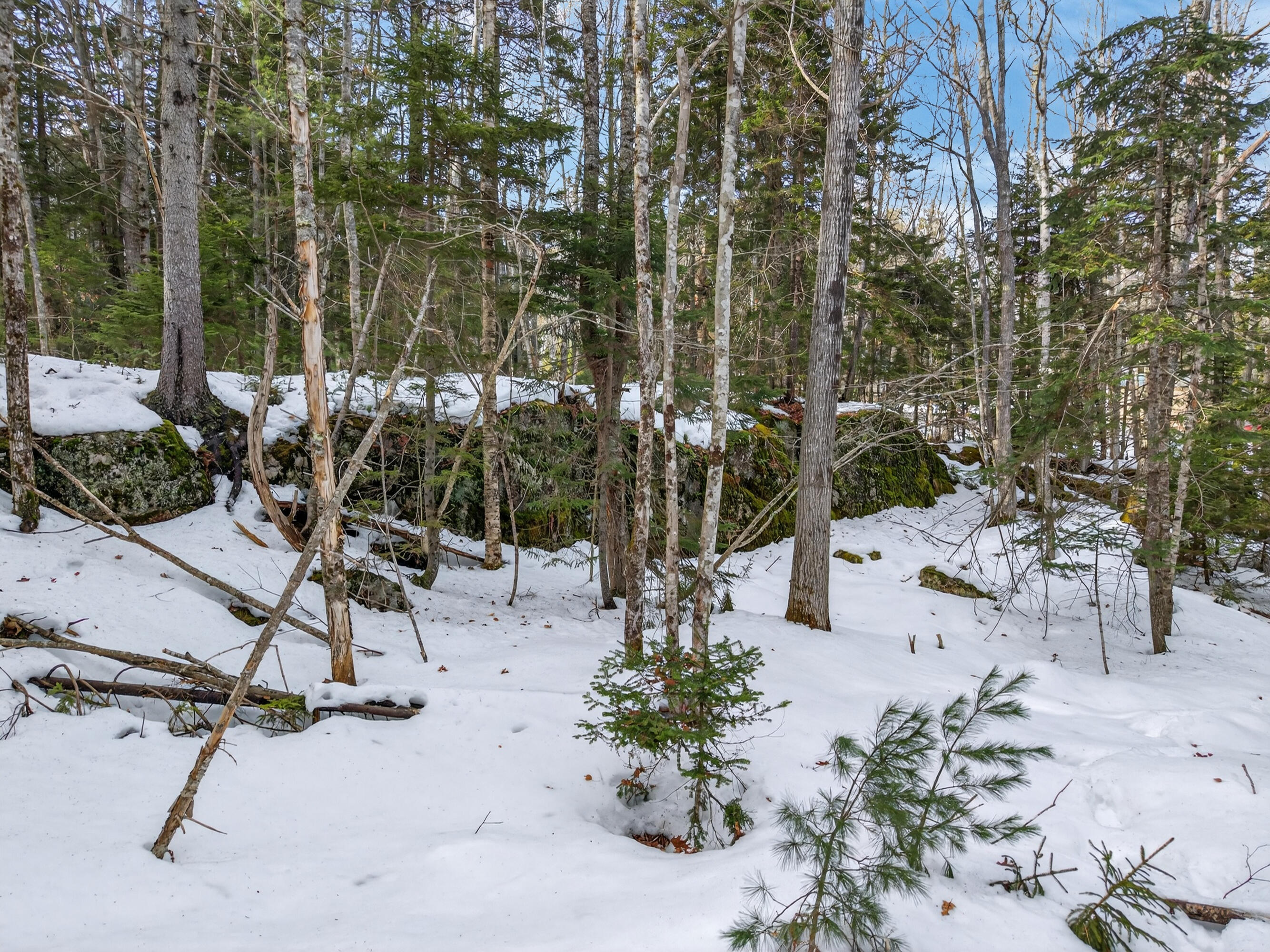 0 Sebasco Road Phippsburg ME 04562