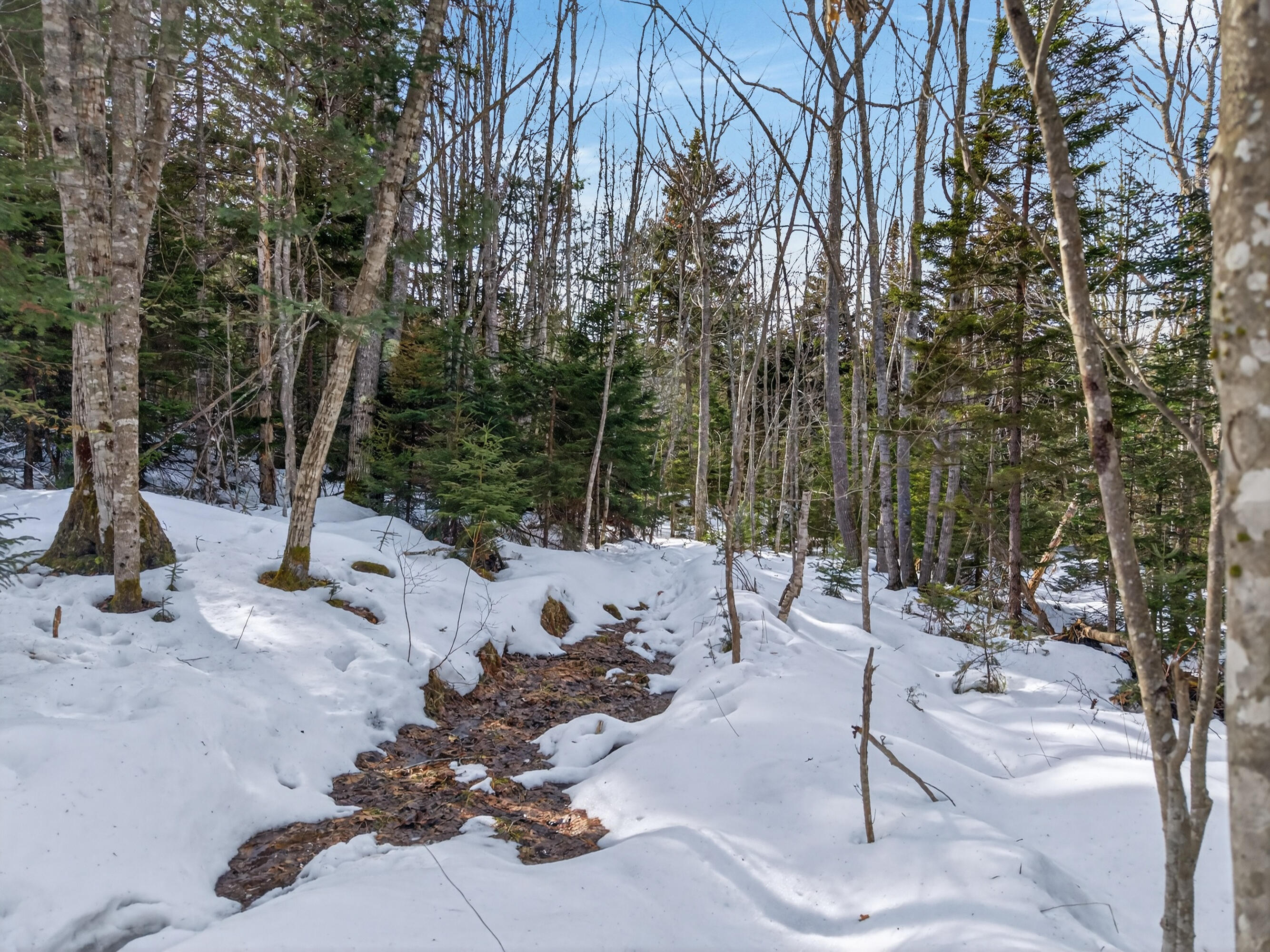 0 Sebasco Road Phippsburg ME 04562