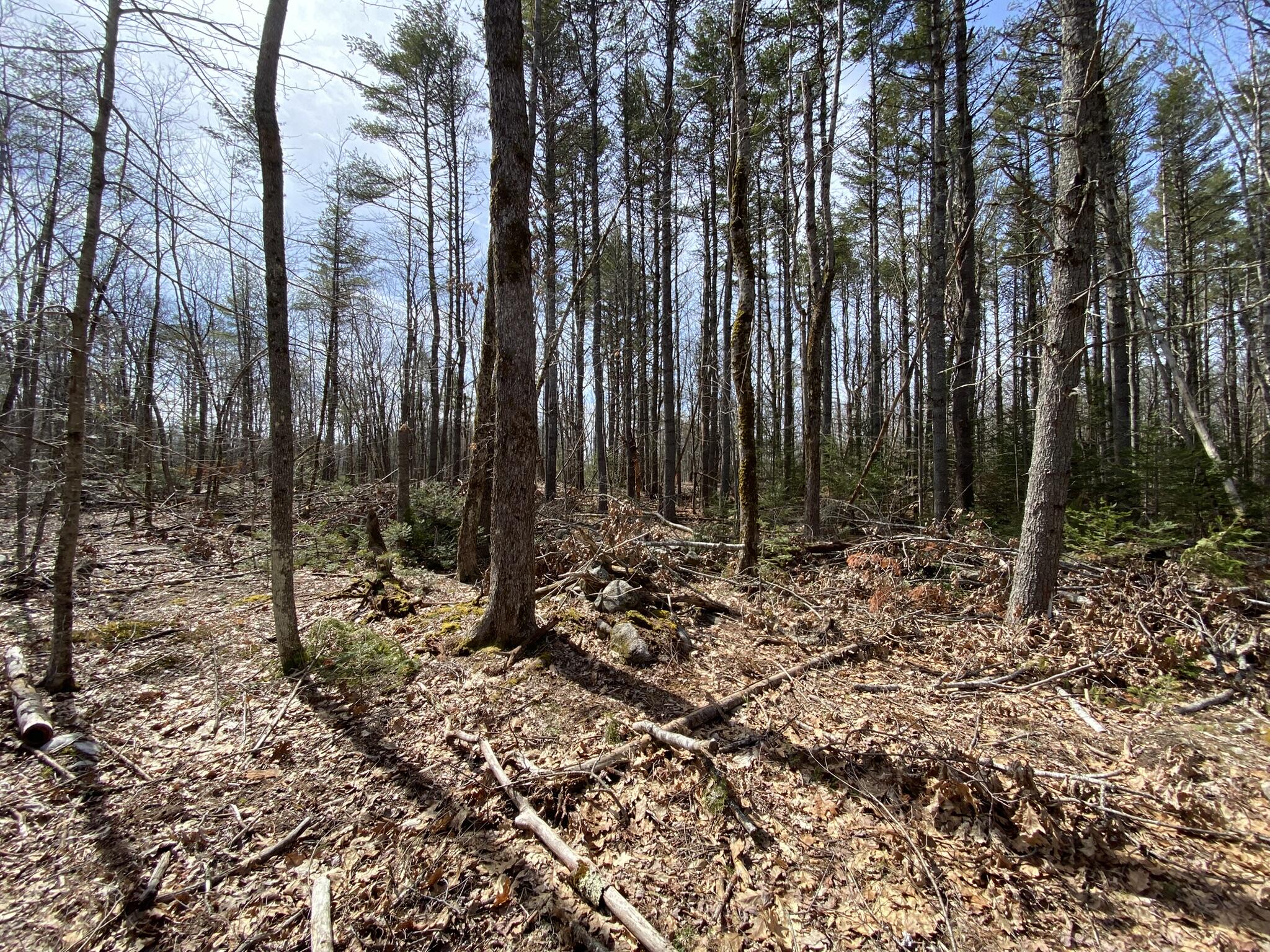 P/o M2l16c Lower Cross Road Nobleboro ME 04555