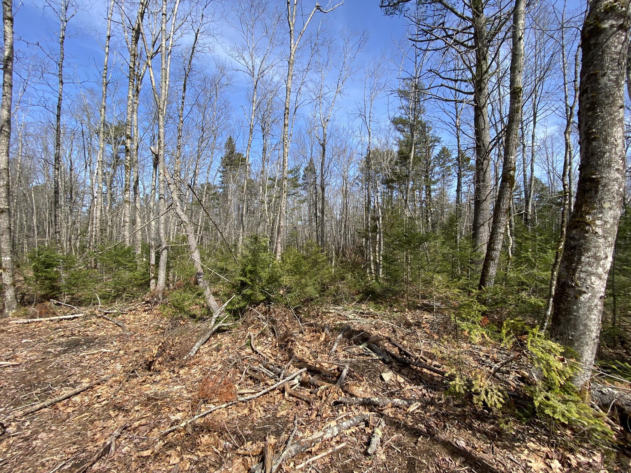 P/o M2l16c Lower Cross Road Nobleboro ME 04555