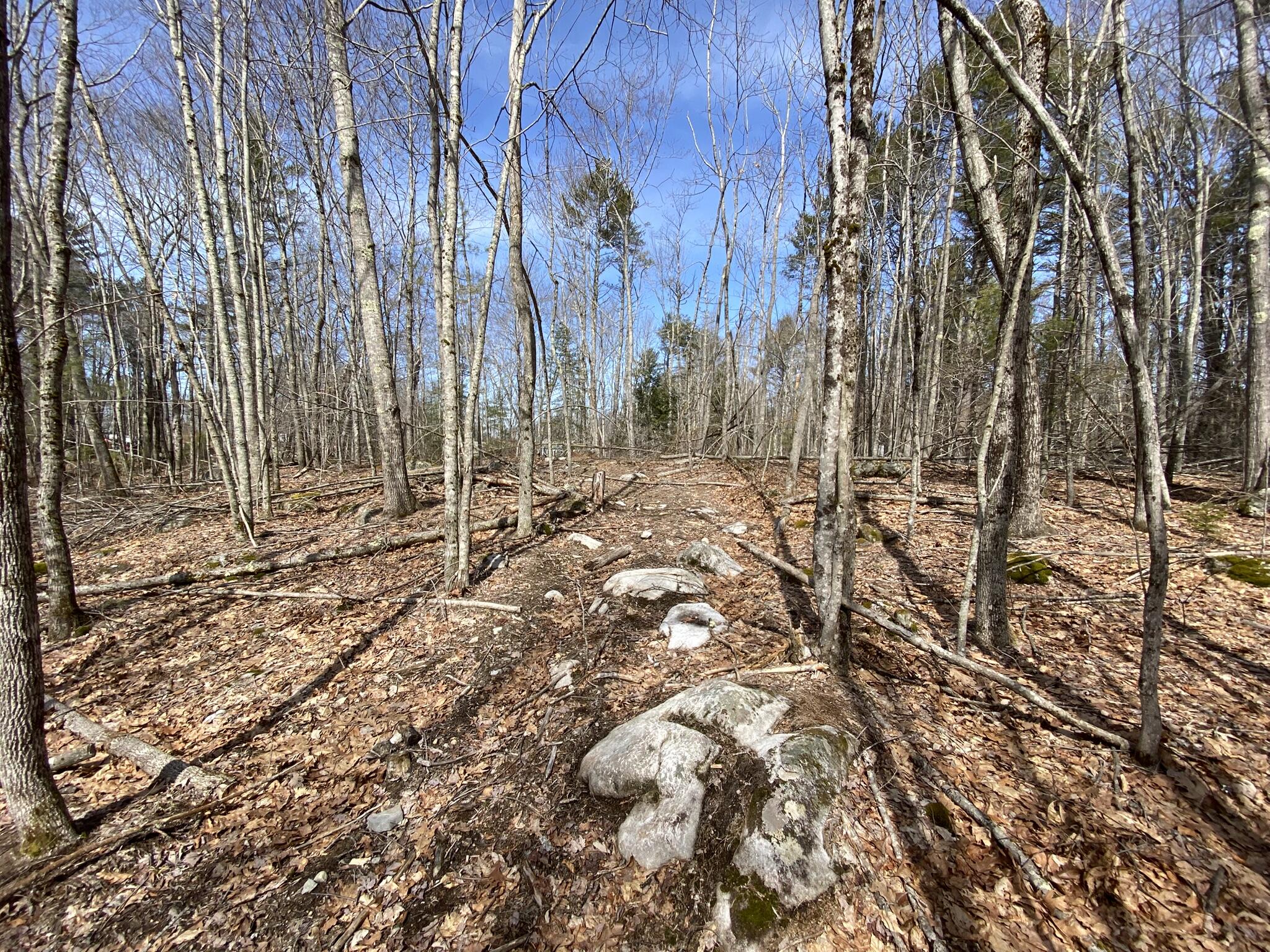 P/o M2l16c Lower Cross Road Nobleboro ME 04555