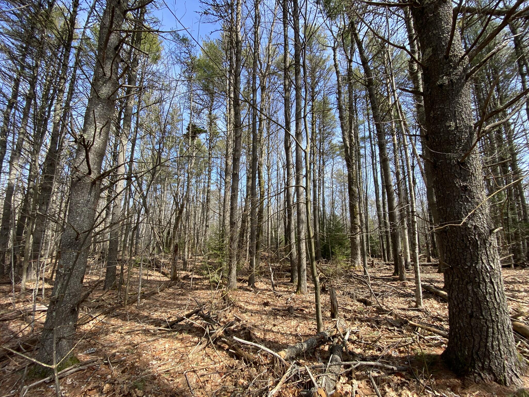 P/o M2l16c Lower Cross Road Nobleboro ME 04555