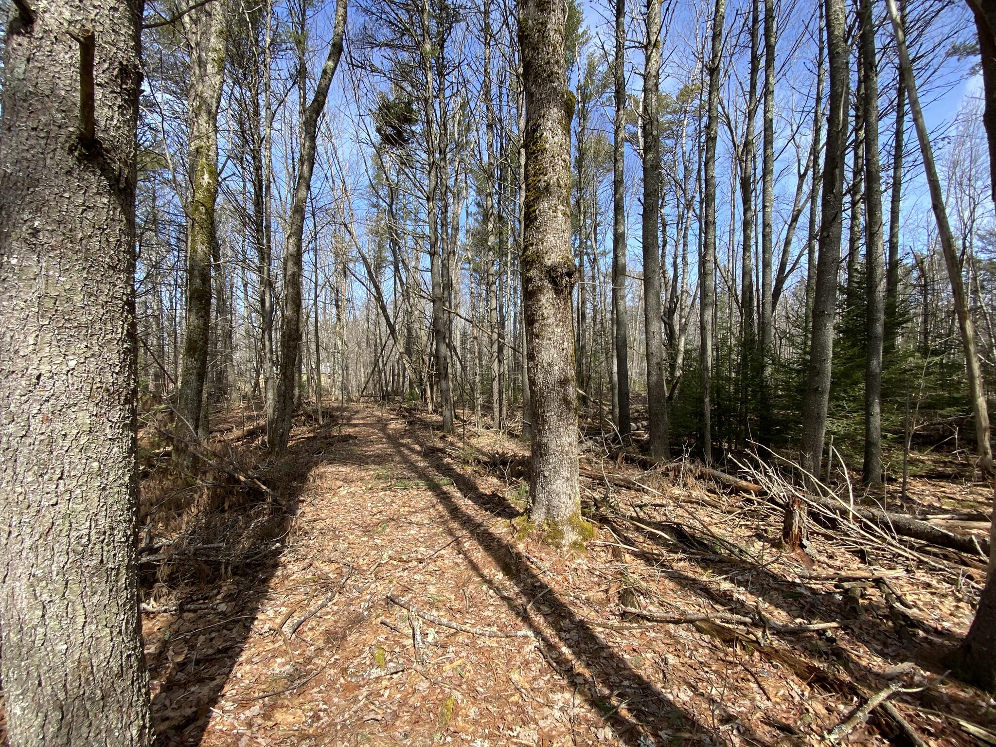 P/o M2l16c Lower Cross Road Nobleboro ME 04555