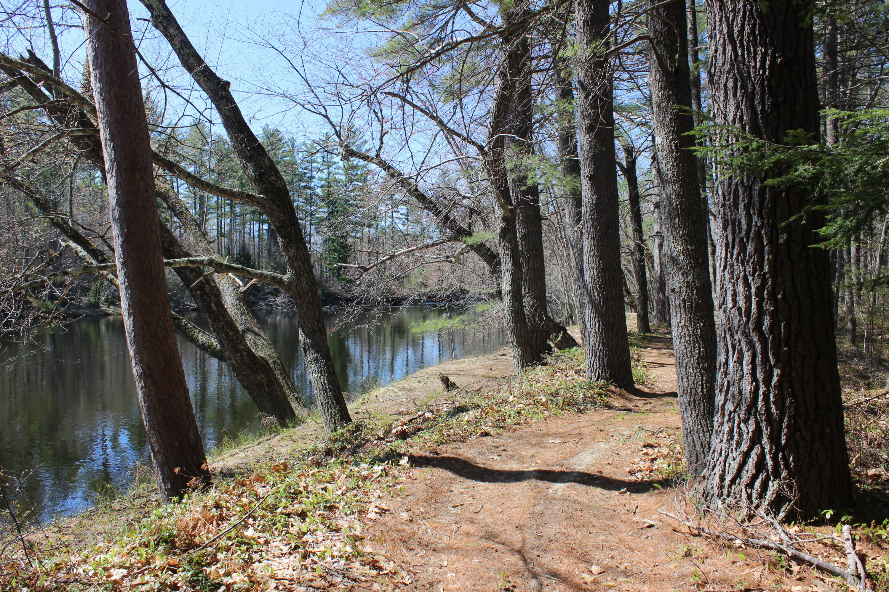 LOT19A Riverbend Road Brownfield ME 04010
