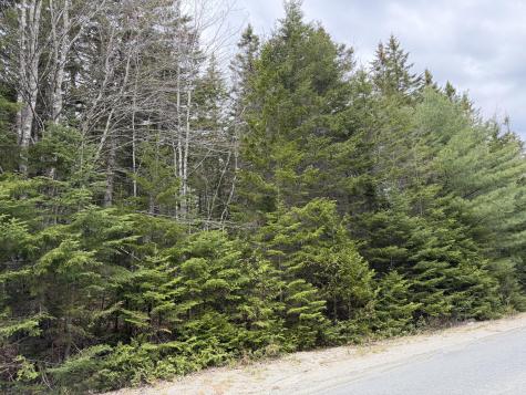 2-C Gouldsboro Point Road Gouldsboro ME 04607