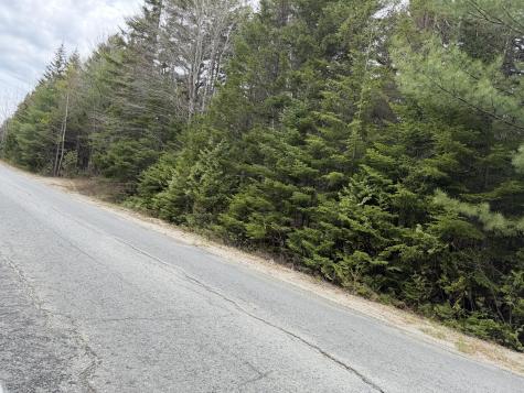 2-C Gouldsboro Point Road Gouldsboro ME 04607