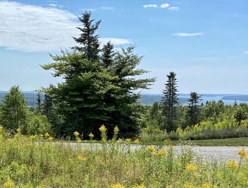 7 Terrace Way Stockton Springs, ME