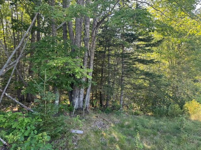 Map4 Lot26 Southern Bay Road Penobscot ME 04476