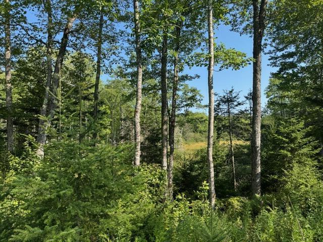 Map4 Lot26 Southern Bay Road Penobscot ME 04476