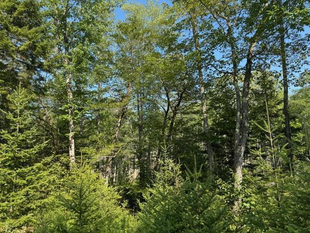 Map4 Lot26 Southern Bay Road Penobscot ME 04476