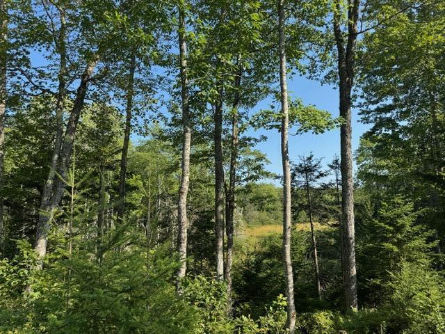 Map4 Lot26 Southern Bay Road Penobscot ME 04476