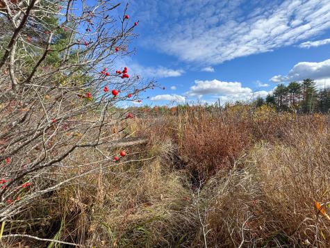 Lot 20.2 Off Route 3 Montville ME 04941