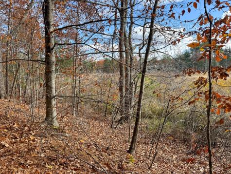 Lot 20.2 Off Route 3 Montville ME 04941