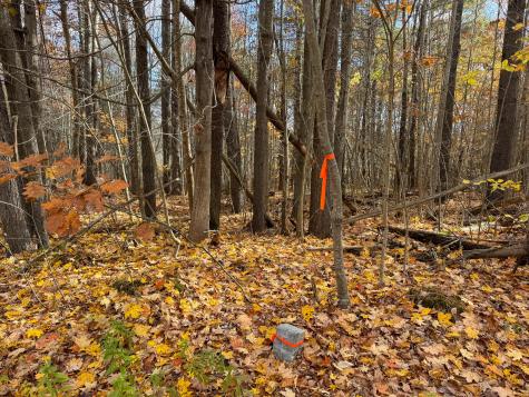 Lot 20.2 Off Route 3 Montville ME 04941