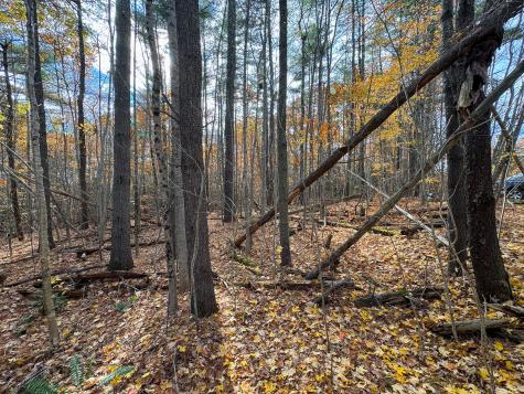 Lot 20.2 Off Route 3 Montville ME 04941