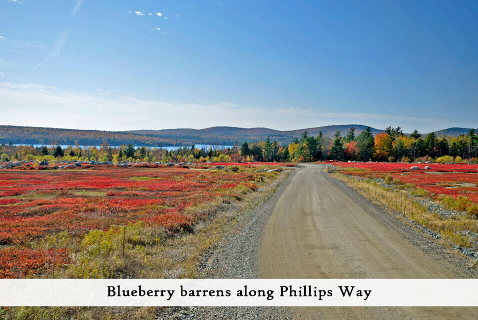 80 Pickeral Cove Way Ellsworth ME 04605