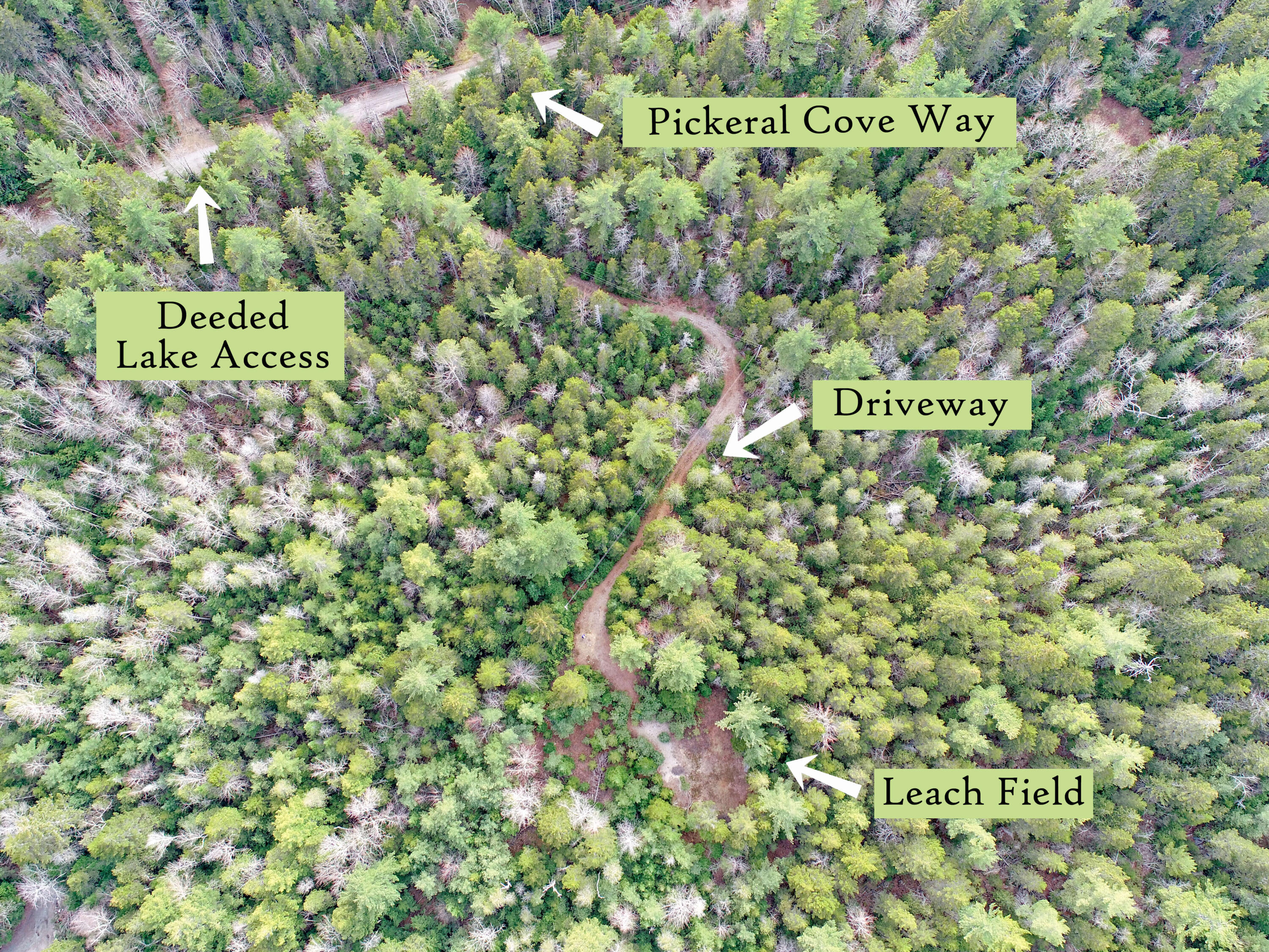 80 Pickeral Cove Way Ellsworth ME 04605