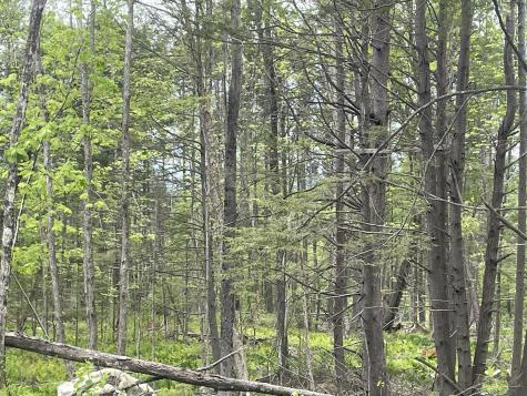 R8 L13,13a Zions Hill Road Chesterville ME 04938