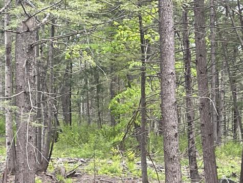 R8 L13,13a Zions Hill Road Chesterville ME 04938