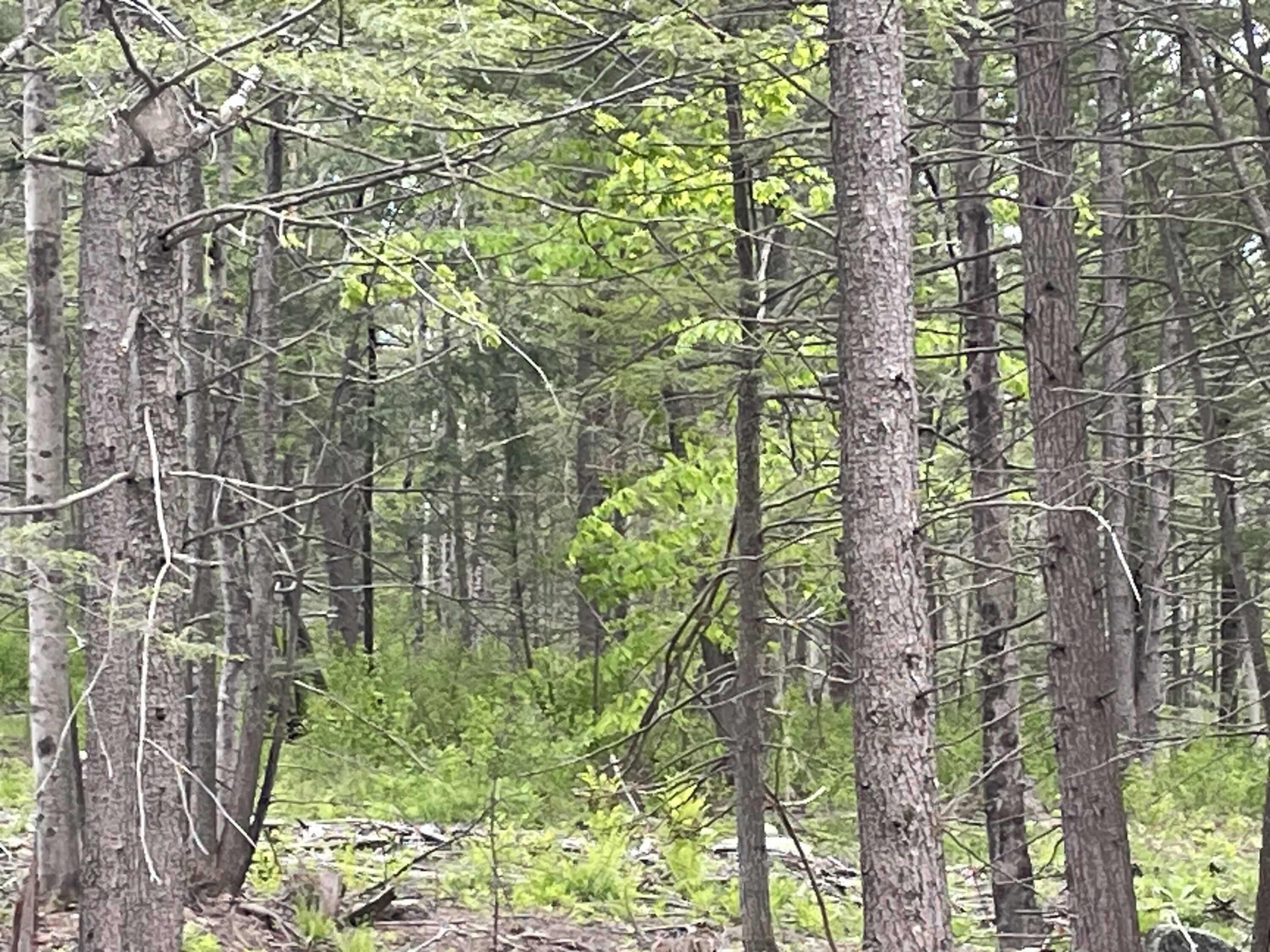 R8 L13,13a Zions Hill Road Chesterville ME 04938