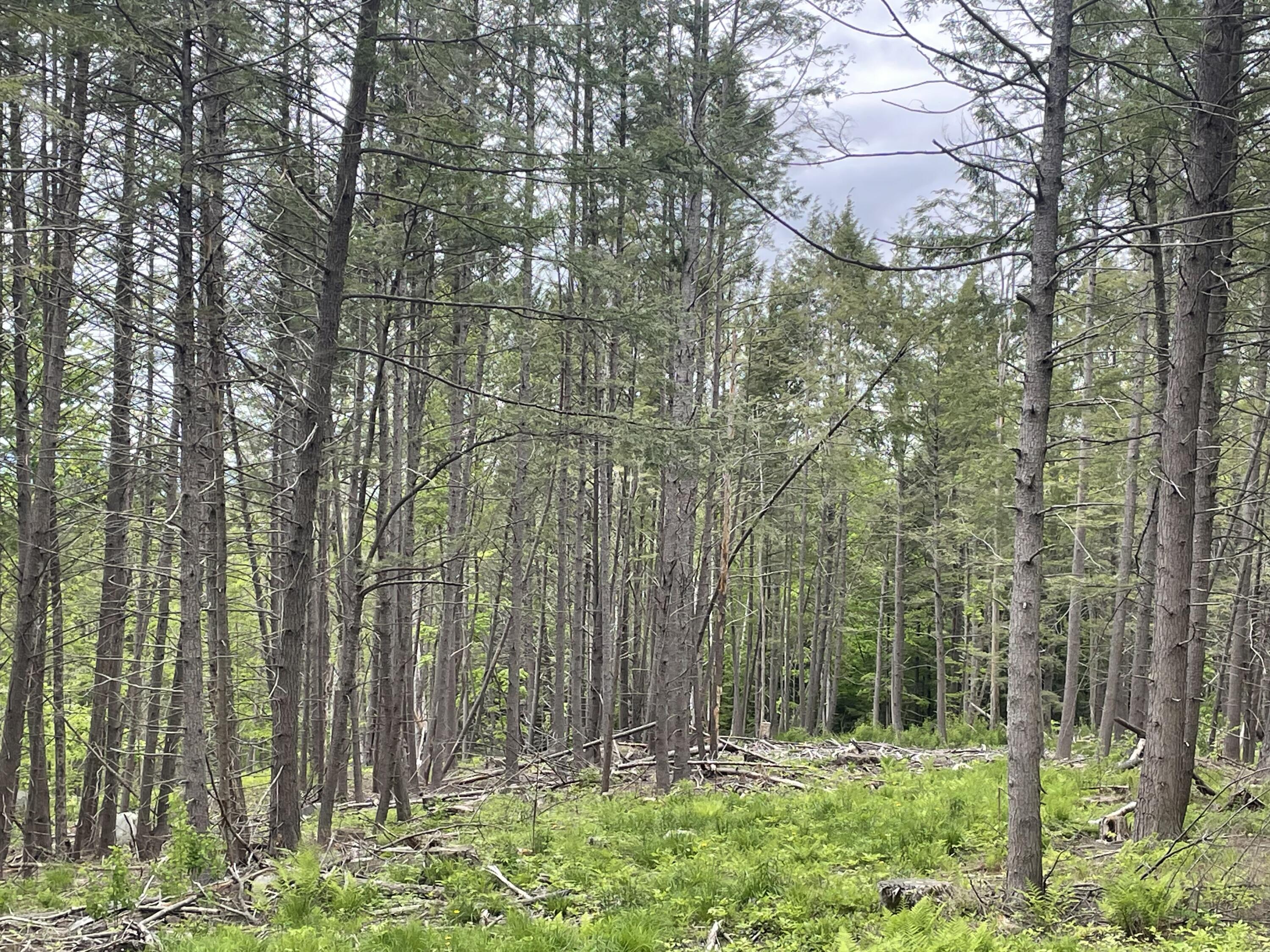 R8 L13,13a Zions Hill Road Chesterville ME 04938