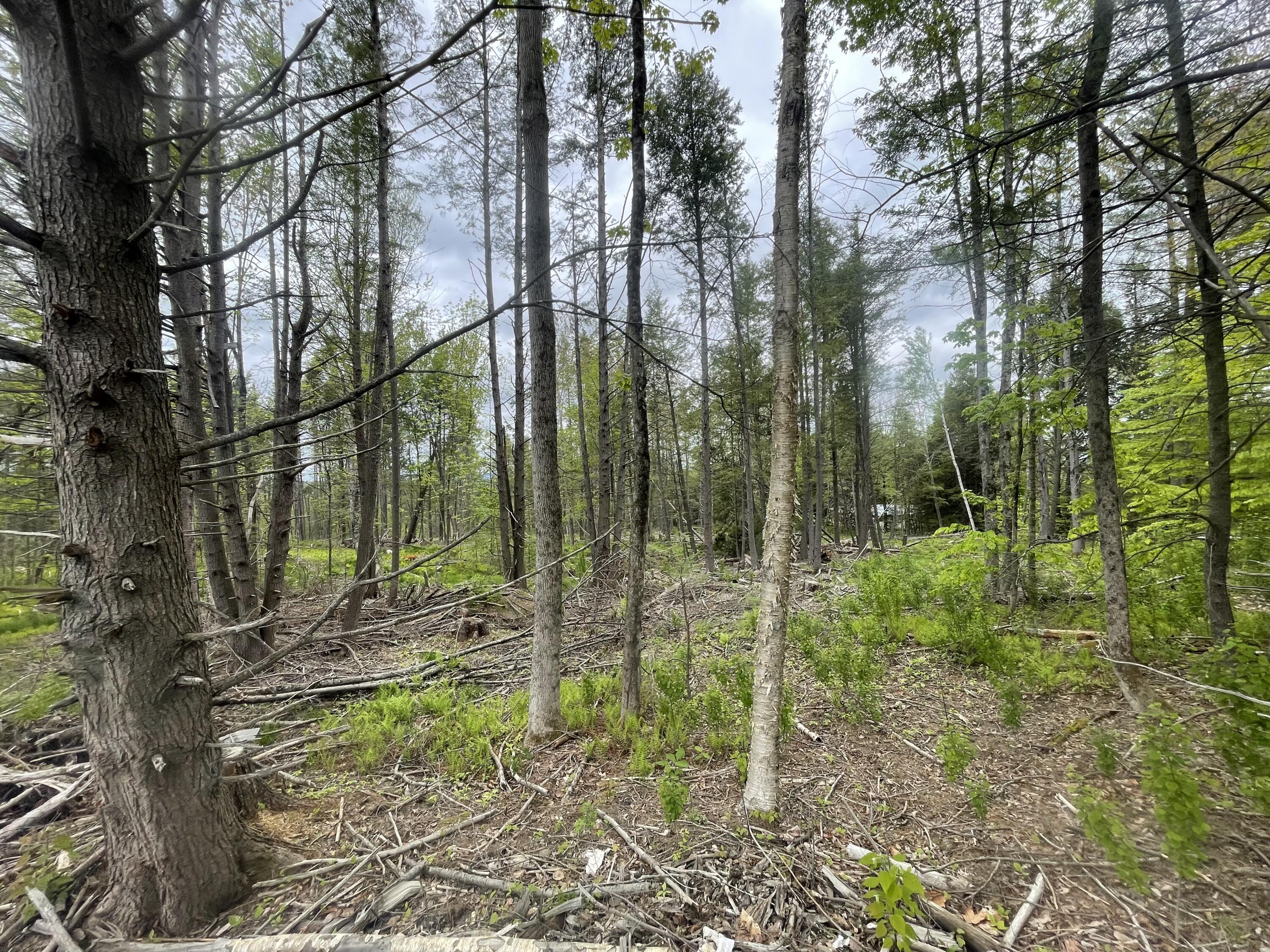 R8 L13,13a Zions Hill Road Chesterville ME 04938