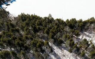 38-1 North Shore Of Center Pond Sangerville ME 04479