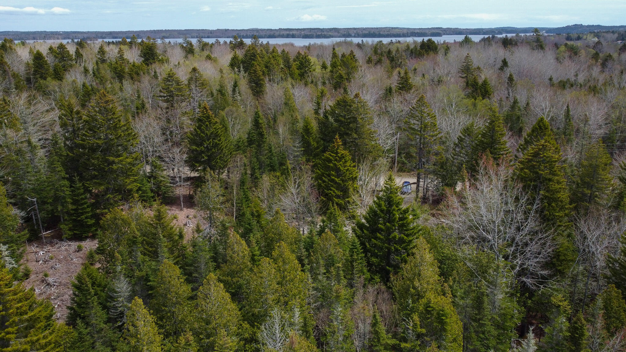 58 High Head Road East Machias ME 04630