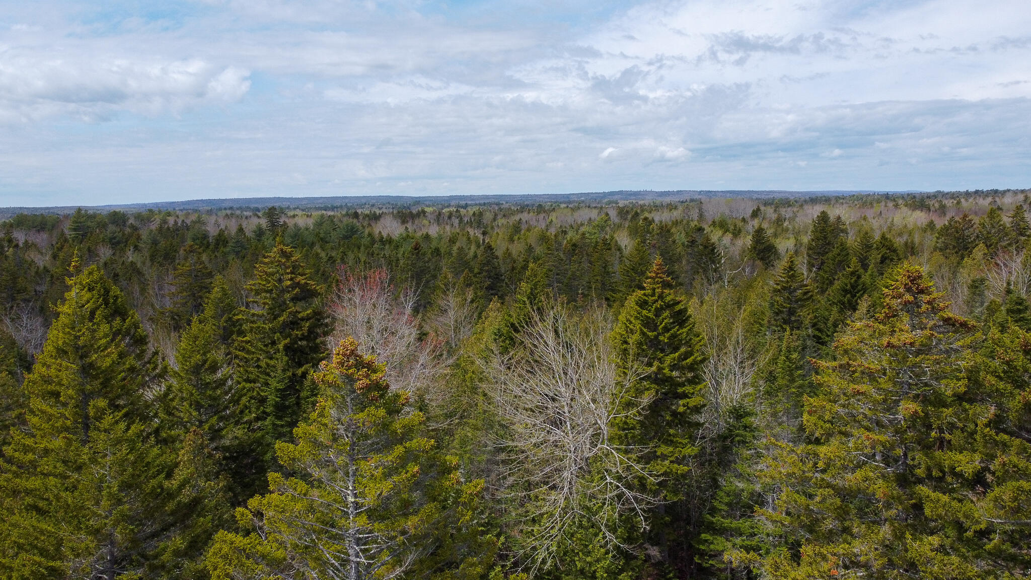 58 High Head Road East Machias ME 04630