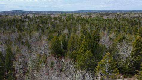 58 High Head Road East Machias ME 04630