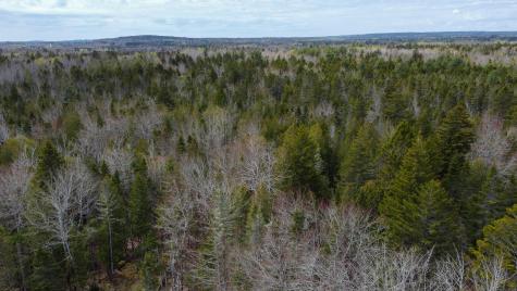 58 High Head Road East Machias ME 04630