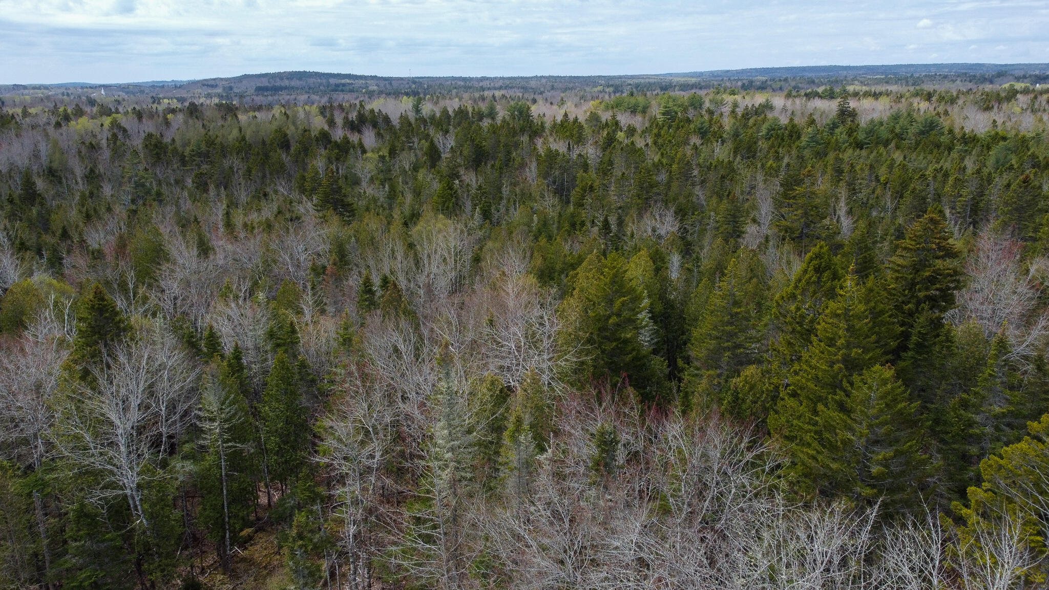 58 High Head Road East Machias ME 04630
