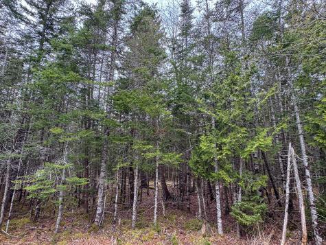58 High Head Road East Machias ME 04630