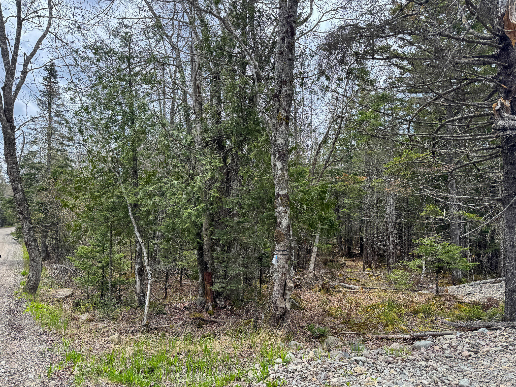 58 High Head Road East Machias ME 04630
