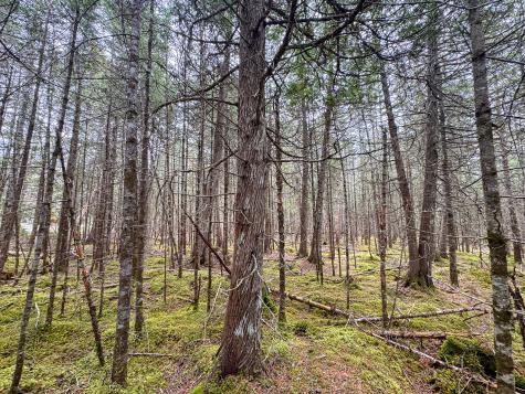 58 High Head Road East Machias ME 04630