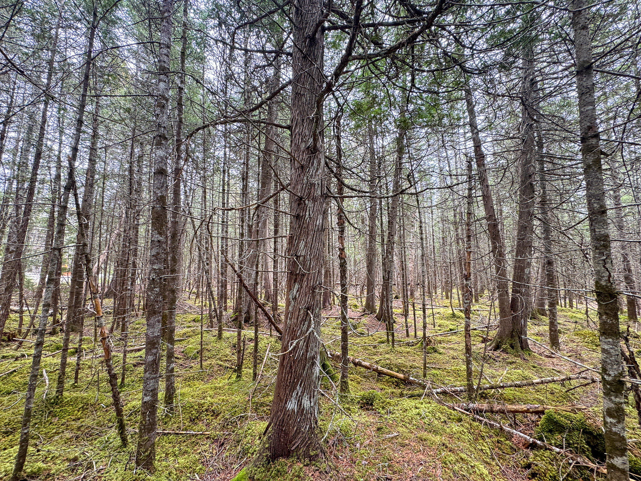 58 High Head Road East Machias ME 04630