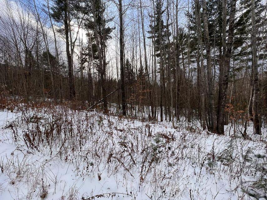 Lot 17 S Rumford Road Rumford ME 04276