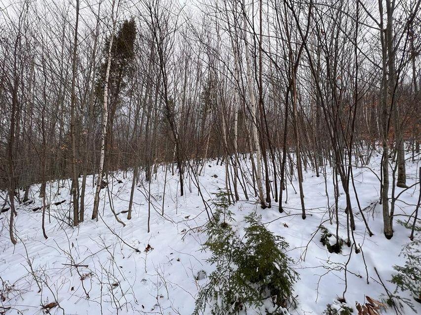 Lot 17 S Rumford Road Rumford ME 04276