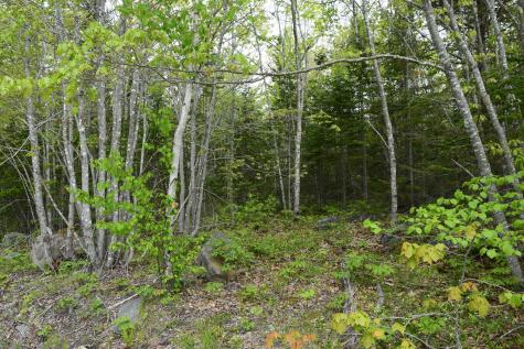 18 Lonely Oaks Way Franklin ME 04634