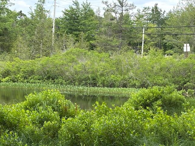 0 Dead Stream Cooper ME 04657