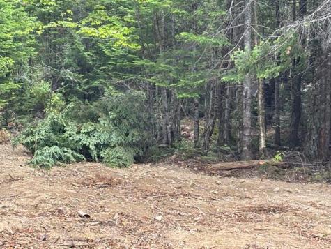 0 Dead Stream Cooper ME 04657